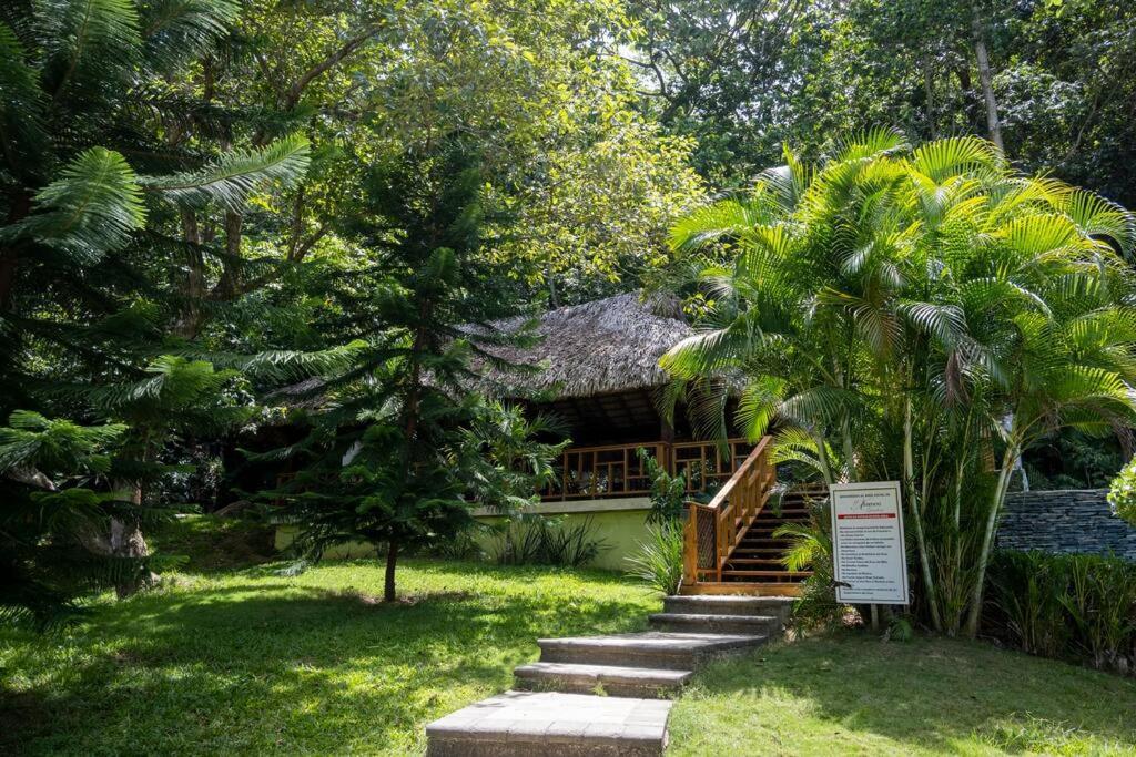 Villa Victoria Jarabacoa Bagian luar foto